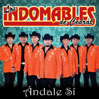 Los Indomables De Cedral - Ándale Sí