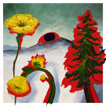 Woods - Strange to Explain - Single