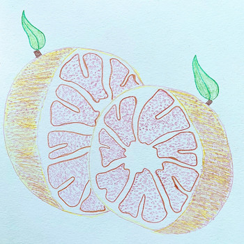 Grapefruit - Grapefruit Grapefruit