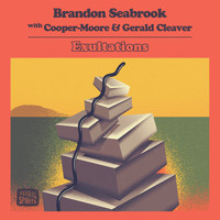 Brandon Seabrook - Exultations