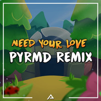PYRMD - Need Your Love (Remix)