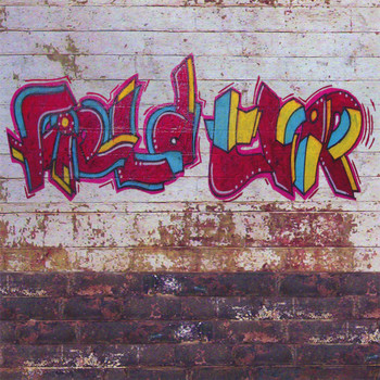 FieldTRIP - Fieldtrip