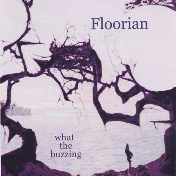 Floorian - what the buzzing