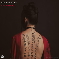 Player Vibe - Sexology