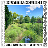 Invader Houses - William Dwight Whitney