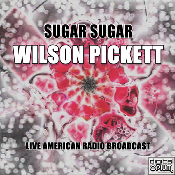 Wilson Pickett - Sugar Sugar (Live)