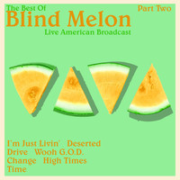 Blind Melon - Blind Melon - Live American Broadcast - Part Two (Live)