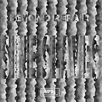 Beyond Repair - Sine Slaves