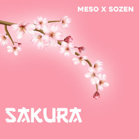 Meso - Sakura