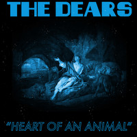 The Dears - Heart Of An Animal