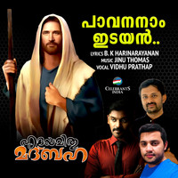 Vidhu Prathap - Pavananam Idayane - Single