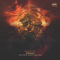 Colette - Dreams - the Pete Moss Remixes