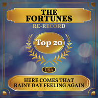 The Fortunes - Here Comes That Rainy Day Feeling Again (Billboard Hot 100 - No 15)