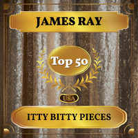 James Ray - Itty Bitty Pieces (Billboard Hot 100 - No 41)