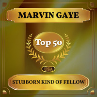 Marvin Gaye - Stubborn Kind of Fellow (Billboard Hot 100 - No 46)