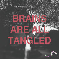 Sam Morris - Brains Are All Tangled (Explicit)