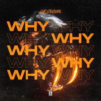 Destroy3r - WHY (Radio Mix)