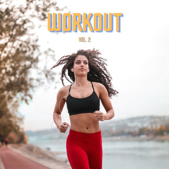 Various Artists - Workout, vol. 2