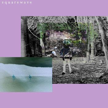 Squarewave - If a Tree Falls