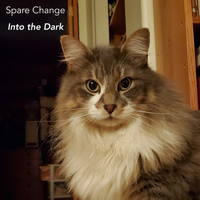 Spare Change - Into the Dark