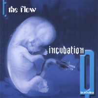 The Flow - Incubation