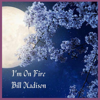 Bill Madison - I'm On Fire
