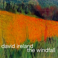 David Ireland - The Windfall