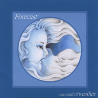 Forecast - Some Kind of Weather