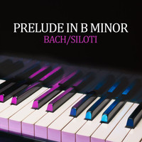Valentina Lisitsa - Prelude in B Minor (Transcr. Siloti - Prelude in E Minor BWV 855a)