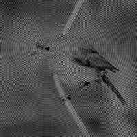 Ynarka - This Motherfucker