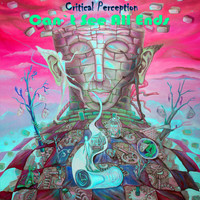 Critical Perception -  Can't See All Ends