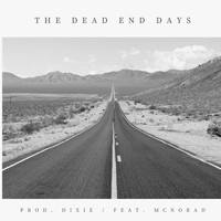 Dixie - the dead end days