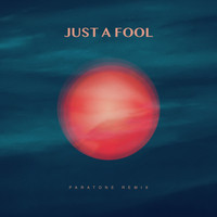 SRTW - Just a Fool (Paratone Remix)