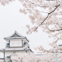 Shiro - rainy day in tokyo