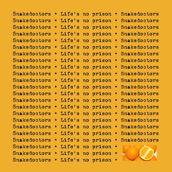 Snakedoctors - Life's No Prison (Explicit)