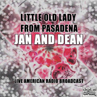 Jan and Dean - Little Old Lady From Pasadena (Live)