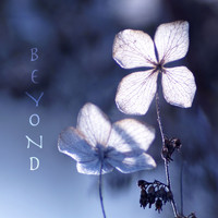 Ocb Relax - Beyond