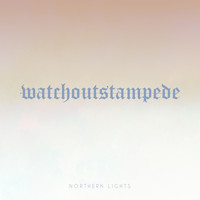 Watch Out Stampede - Northern Lights (Instrumental)
