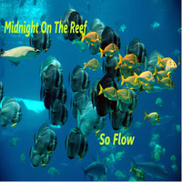So Flow - Midnight On The Reef