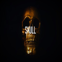 Don'SProduct. - Skull