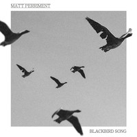 Matt Perriment - Blackbird Song