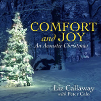 Liz Callaway - Comfort and Joy (An Acoustic Christmas)