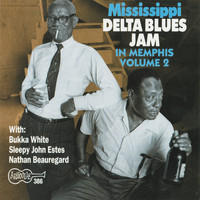 Various Artists - Mississippi Delta Blues Jam in Memphis, Vol. 2