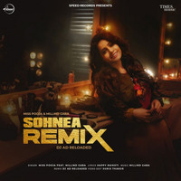 Miss Pooja - Sohnea (DJ AD Reloaded Remix)
