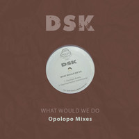 DSK - What Would We Do - Opolopo Mixes