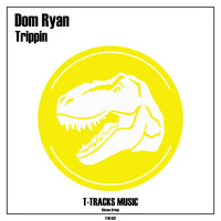 Dom Ryan - Trippin