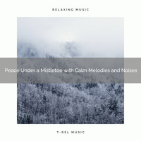 Christmas Lullabies, Christmas Spirit - Peace Under a Mistletoe with Calm Melodies and Noises