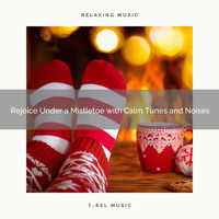 Silent Night Sounds, Xmas Party - Rejoice Under a Mistletoe with Calm Tunes and Noises