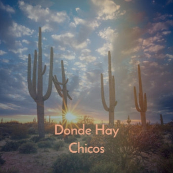 Various Artists - Donde Hay Chicos