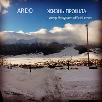 Ardo - Жизнь прошла